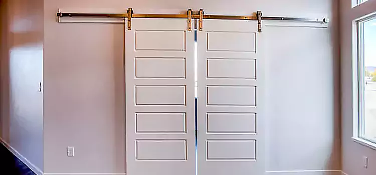 Glass Barn Door with Installation Hardware Kit Bethany